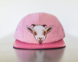 Young GOAT 5 panel hat - Dome5